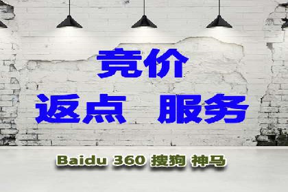 百度竞价代运营公司成功案例揭秘：策略与执行