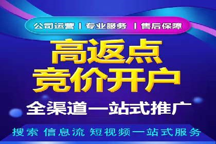 SEM服务助力企业快速增长案例
